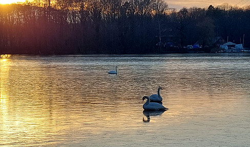 Exklusives Grundstück mit unverbaubarem Wasserblick an der Havel in Westausrichtung mit Stegoption