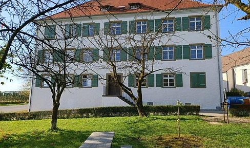 Available immediately: A stunning "house within a house" apartment with its own entrance and a home office.