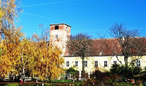 Riding estate Niederabsdorf Castle
