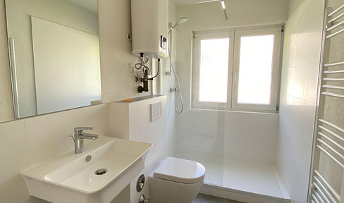 First occupancy after core renovation! 3-room attic apartment with EBK & garden