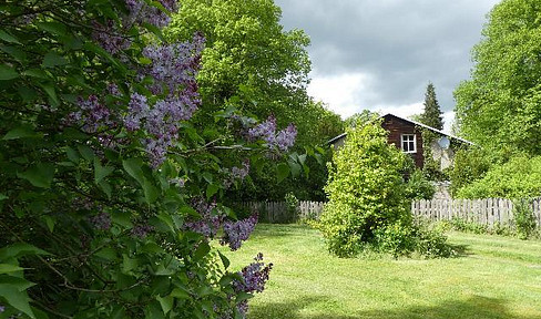 Forsthaus Metzelthin - wohnen und arbeiten im Naturpark Uckermärkische Seen
