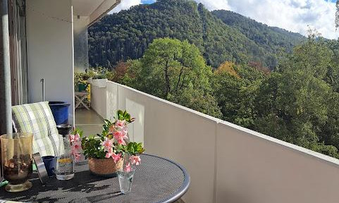Traumwohnung in Bad Harzburg
