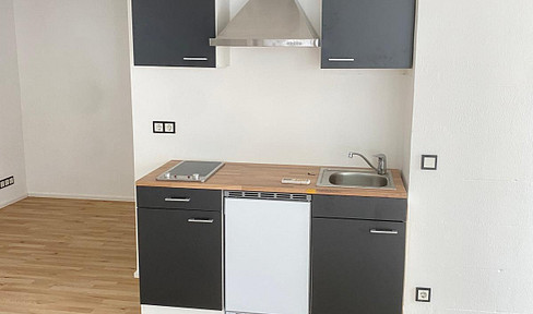 Bright, completely renovated apartment with EBK and TERRACE
