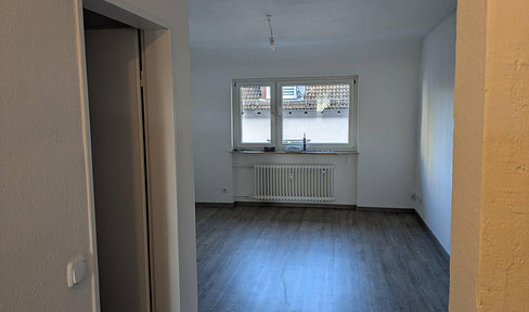 1-room apartment in Darmstadt - near the university, newly renovated