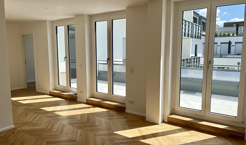 First-time occupancy single apartment with large roof terrace