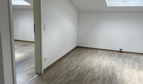 Refurbished 2-room apartment