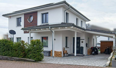 Villa with modern architecture near Frankfurt