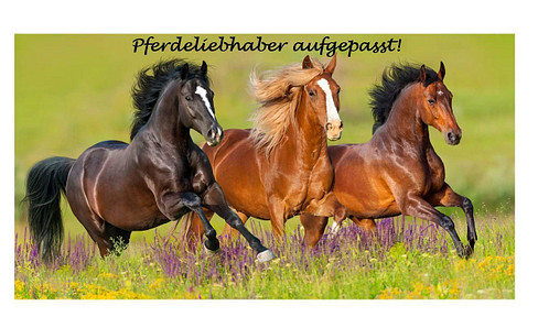 Exklusives Anwesen in Traumlage für Pferdeliebhaber am Rande des Naturschutzgebietes der Haard !!!