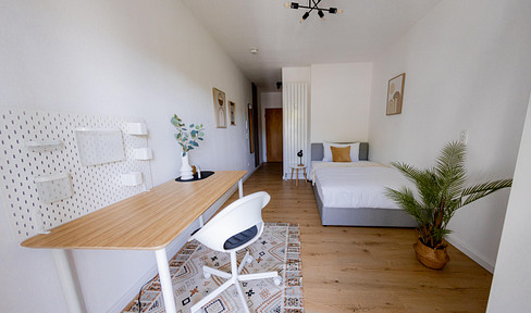 TOP renovated 1-room apartment in Passau - furnished, balcony & water view