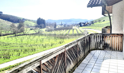 "Attention, singles or commuters! - Move in, paint, and you're done!"