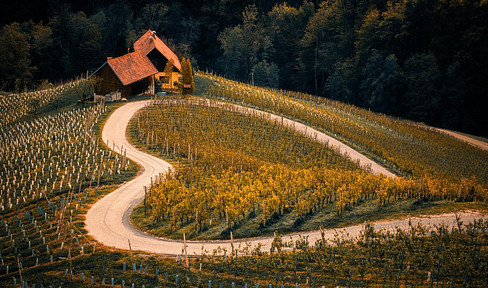 "Attention young couple without dog and cat! Found your first job? Motorcycling and mountain biking
