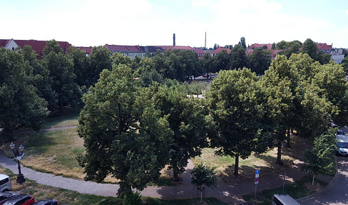 Herrlicher Blick auf den Schellheimer Platz Magdeburgs in Stadtfeld-Ost