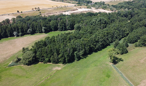 Waldgrundstücke und Gewässer bei Leipzig - Wald - Forst - Privatwald - Waldfläche 1,25 € / qm