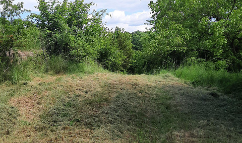 Uneinsehbares sonniges Gartengrundstück in traumhafter Ruhelage