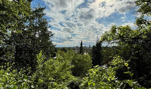 Bestlage HD Neuenheim. Herrlich wohnen mit südländischem Flair. Nähe Uni, Klinikum, DKFZ.