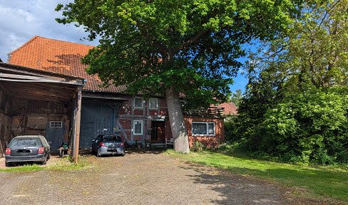Spacious farmhouse with extensive grounds