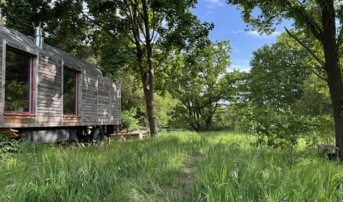 Tiny house on a large natural plot in a landscape conservation area, only 90 minutes from Berlin, 1 neighbor