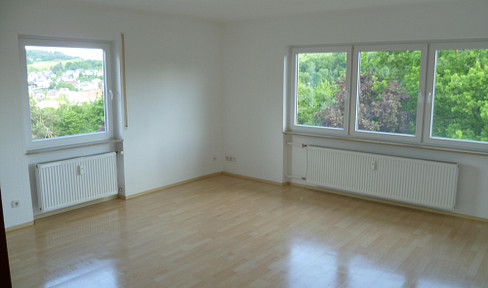Beautiful newly renovated 4-room apartment on a south-facing slope