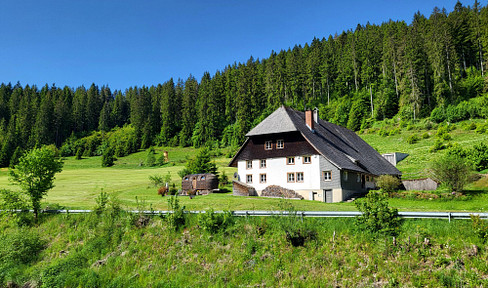 The Winterberghof - 1668