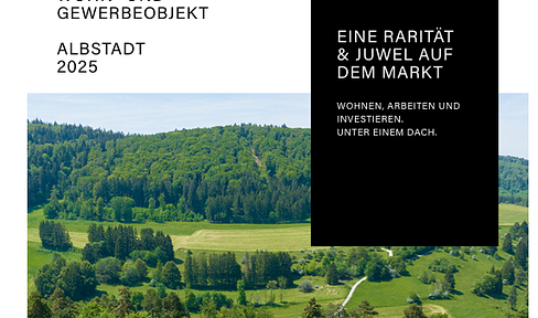 Eine Rarität & Juwel auf dem Markt - Wohnen, Arbeiten und Investieren unter einem Dach