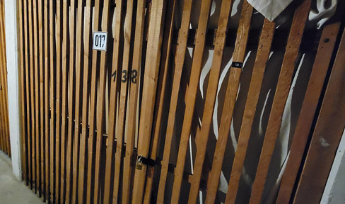 Storage space for rent in the basement of a residential building