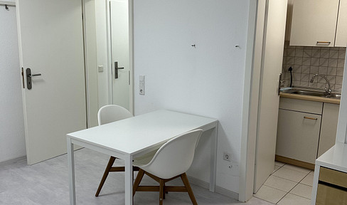 Furnished 1-room apartment ALL INCLUSIVE with terrace and fitted kitchen in VEITSHÖCHHEIM (Birkental)