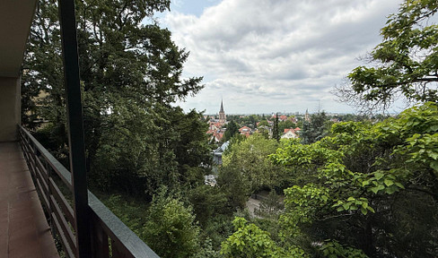 Prime location Heidelberg Neuenheim - distant view - central living in the middle of greenery