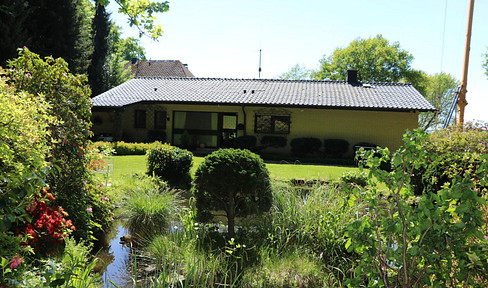 Wald und Sonne! Von Privat