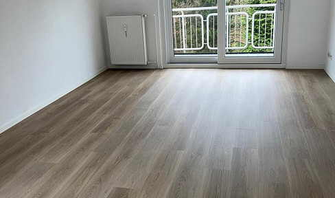 2 room apartment, balcony, ready to move in, renovated, bright, sunny, warm, garage, Lüd.- Musikantenviertel