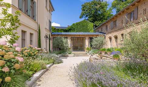 Mediterranean living under olive trees and cypresses