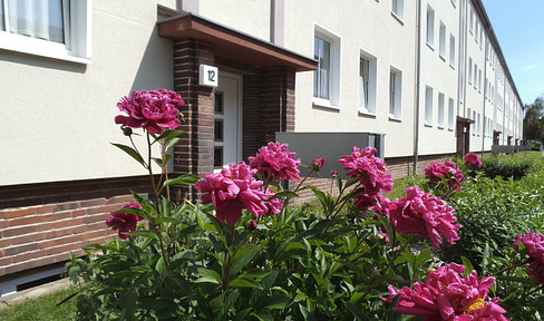 2-Raum Wohnung / 41 m² / Stadtfeld West