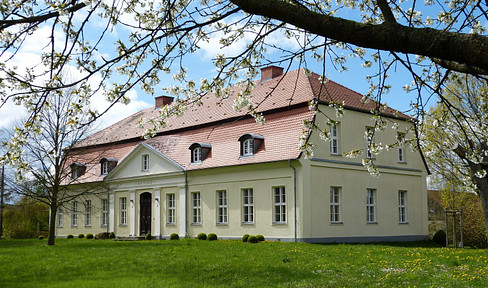 Apartment in the manor house Mon Plaisir