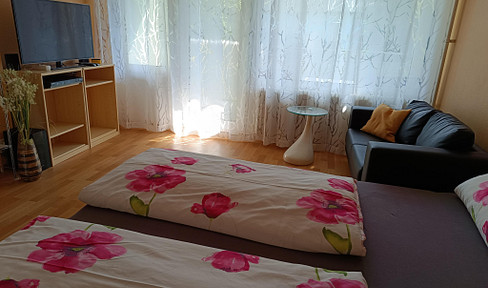 1.5 room condominium/commission-free