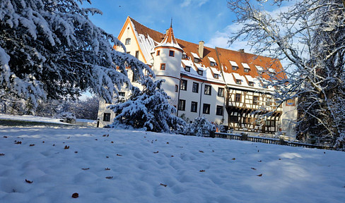 Living in the castle Neufra on 95m² 2 rooms furnished