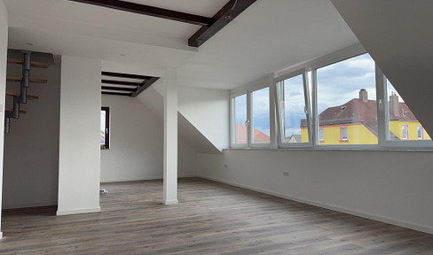 Exclusive new attic apartment