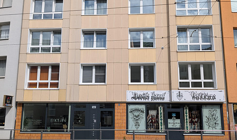 Renovated bright apartment in the city center