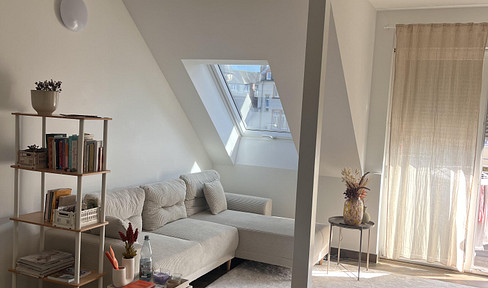 Modern, furnished loft attic apartment Mainz Altstadt