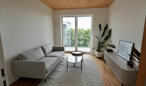 First occupancy with furniture, balcony and fitted kitchen: 2-room top floor