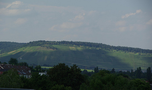 4 room apartment in Kernen