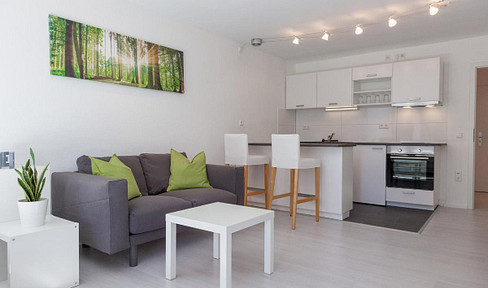 Furnished 1-room apartment with balcony and parking space