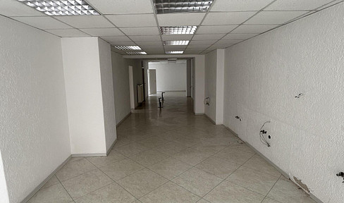 MFH with 2 apartments, business and beautiful garden with view to the castle in Greiz!