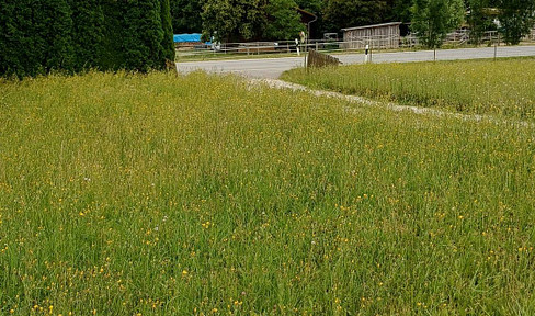 Idyllic building plot - near Bayerbach near Ergoldsbach