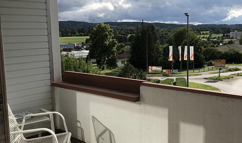 Modern furnished 1-room apartment with balcony and new kitchen