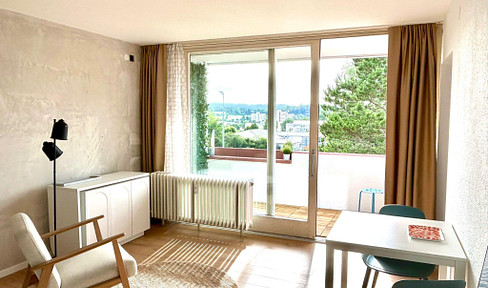 Furnished commuter apartment with balcony and new kitchen.