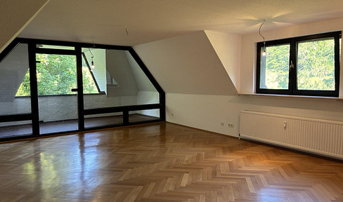 Exceptional 2-room top floor apartment with walk-in wardrobe, loggia and kitchen. interior, loggia and kitchen at LSG