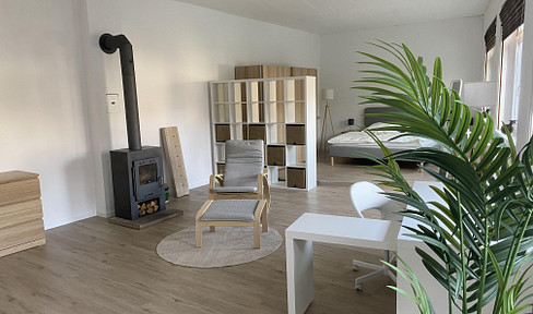 Stylishly furnished loft in Osnabrück's old town with terrace
