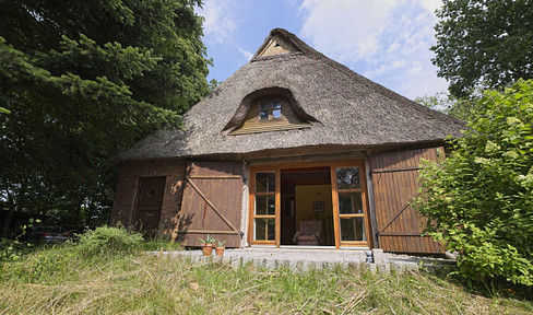 Country house under thatched roof