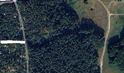 Forest property on Usedom