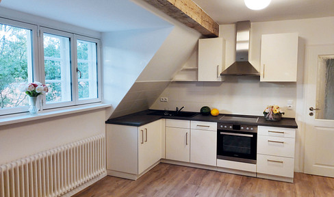 Luxurious top floor apartment (90 sqm) in the "Alte Musikschule Eichhof"