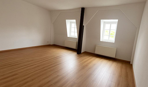 Spacious 1-room apartment freshly renovated with a dream view